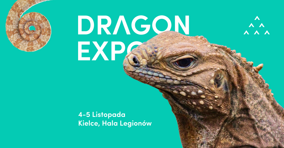 375865457 644605801097322 2111435814885847067 n