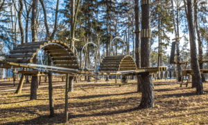 Park Linowy Małpi Gaj - Busko-Zdrój