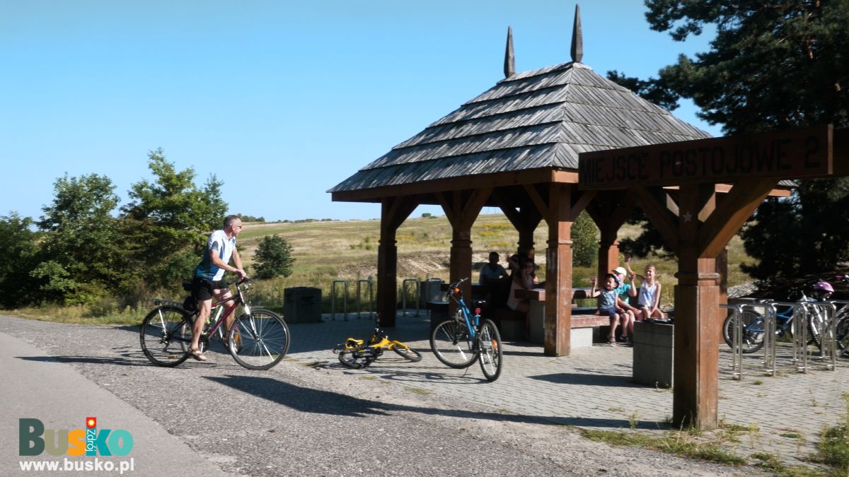 ścieżki rowerowe w lesie winiarskim