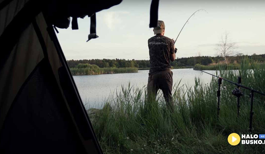 Poznaj Big Fish Lake w Bosowicach – Eldorado dla miłośników wędkarstwa karpiowego (VIDEO)