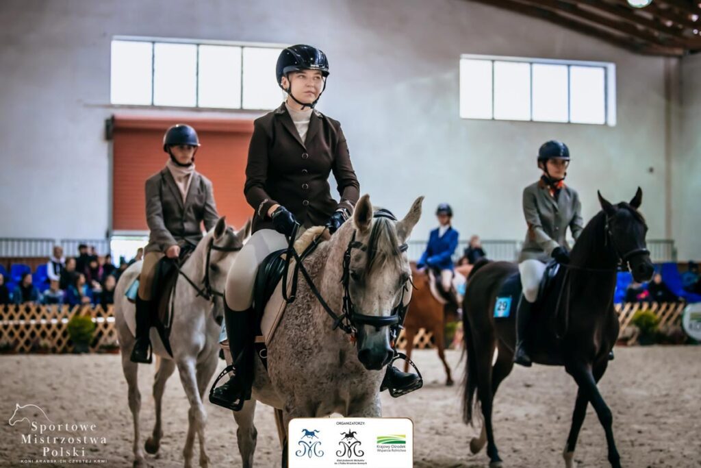 0AXV Sportowe Mistrzostwa Polski Koni Arabskich Czystej Krwi w Michalowie 1