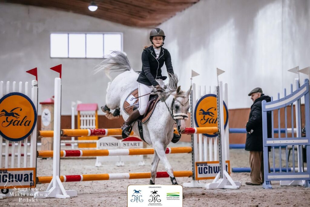 0AXV Sportowe Mistrzostwa Polski Koni Arabskich Czystej Krwi w Michalowie 4