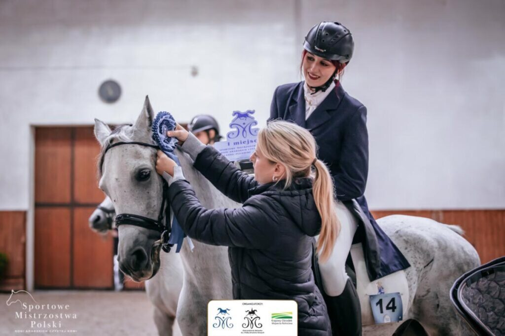 0AXV Sportowe Mistrzostwa Polski Koni Arabskich Czystej Krwi w Michalowie 9