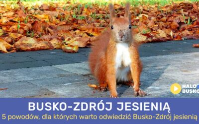 5 powodów dlaczego warto odwiedzić Busko-Zdrój jesienią
