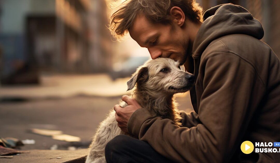 Dziś obchodzimy Dzień Kundelka – święto najwierniejszych przyjaciół!