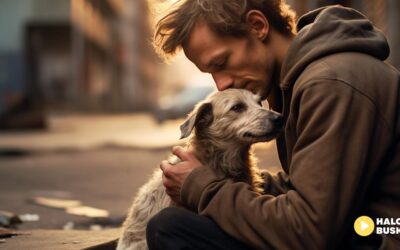 Dziś obchodzimy Dzień Kundelka – święto najwierniejszych przyjaciół!