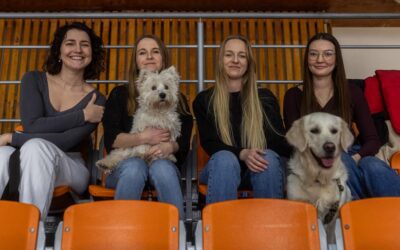 Ponad 10 tysięcy złotych zebrali uczestnicy I Charytatywnego Turnieju Futsalowego w Busku-Zdroju!