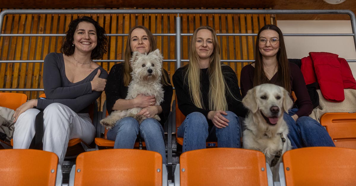 I charytatywny turniej futsalowy w busku-zdroju