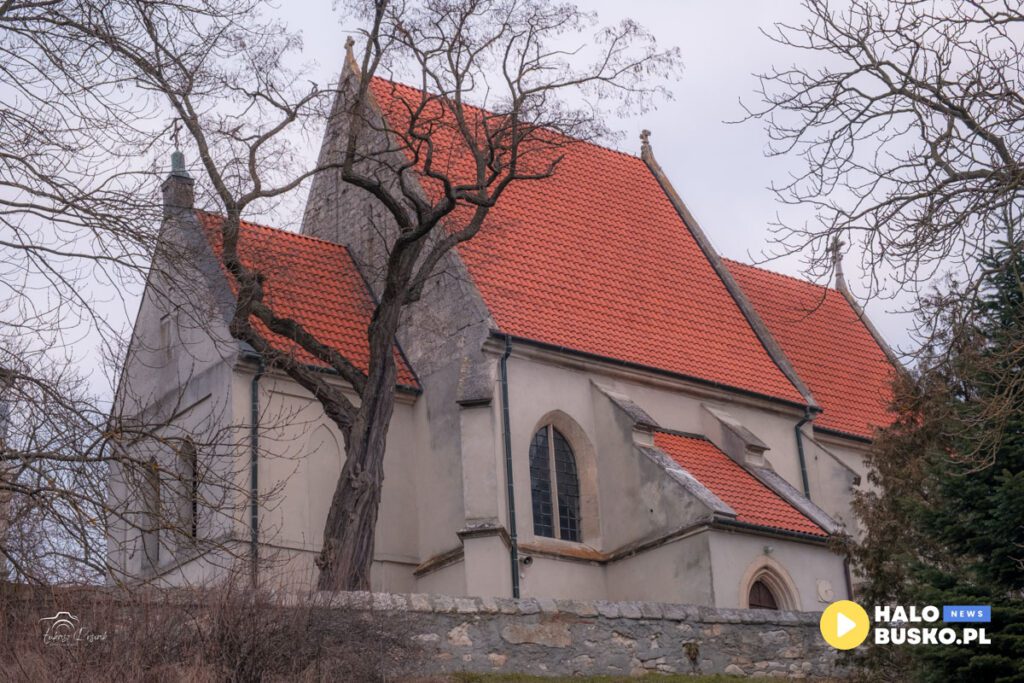 chotel czerwony kolo buska zdroju 1