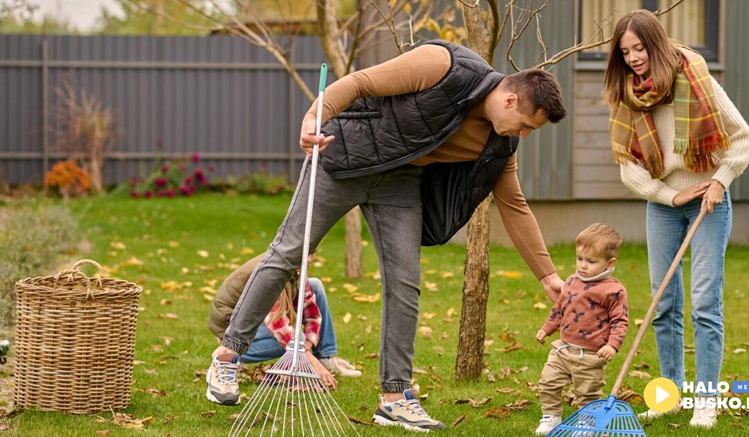 Wiosenne porządki – gdzie w Busku-Zdroju kupisz produkty, które Ci pomogą z wiosennymi porządkami?