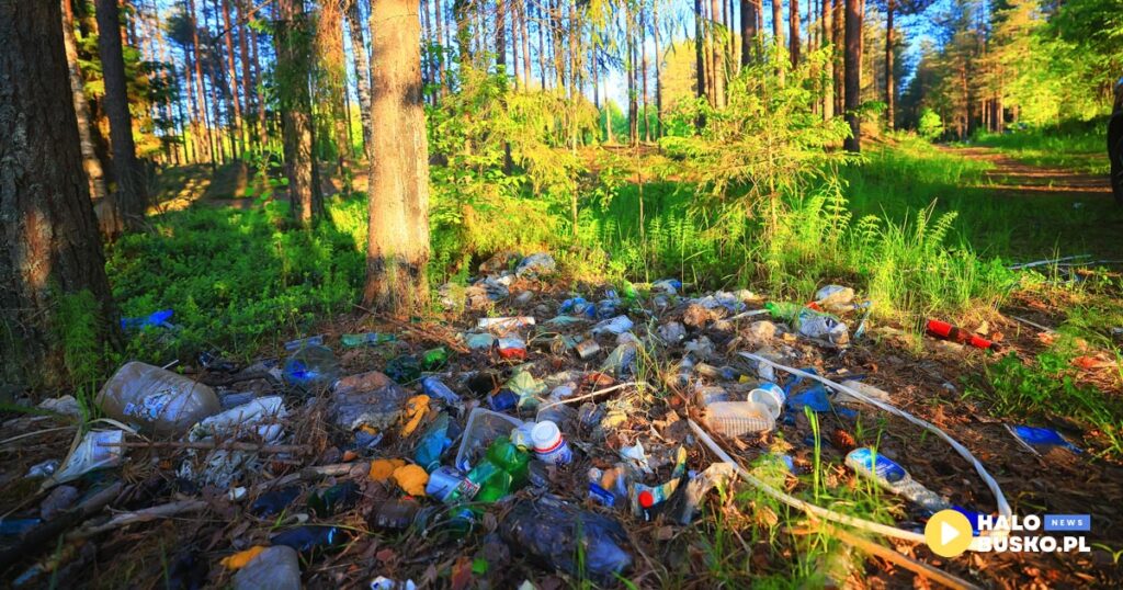 wywóz odpadów Busko-Zdrój