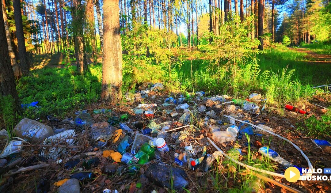 Las to nie śmietnik – przestańmy niszczyć przyrodę! Są lepsze miejsca na wywóz śmieci niż las!