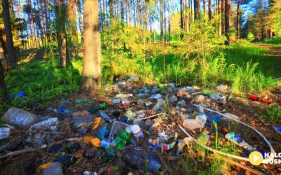 Las to nie śmietnik – przestańmy niszczyć przyrodę! Są lepsze miejsca na wywóz śmieci niż las!
