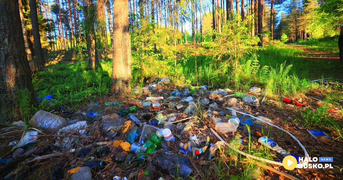 wywóz odpadów Busko-Zdrój