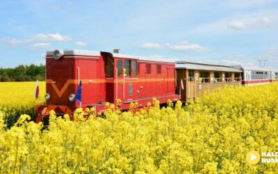 „Ciuchcia Ponidzie” wraca na tory! Rusza sezon 2025 Świętokrzyskiej Kolejki Wąskotorowej!