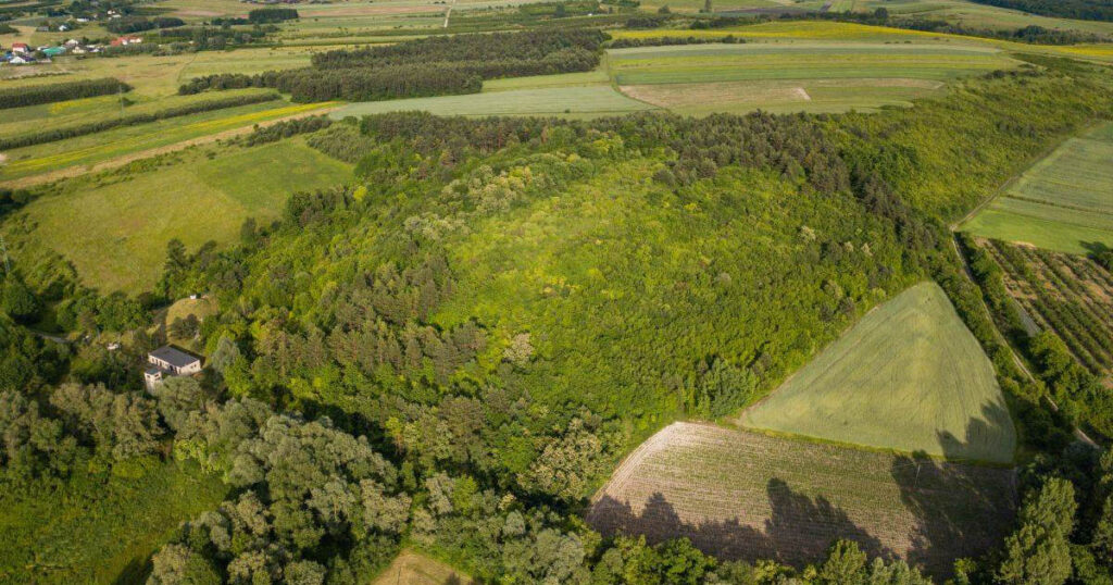 gród na "Kapturowej Górze" w Szczaworyżu