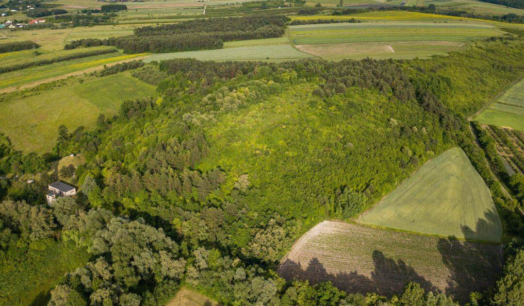 Zaginiony gród na „Kapturowej Górze” w Szczaworyżu – odkrycie, które przybliża nas do korzeni regionu