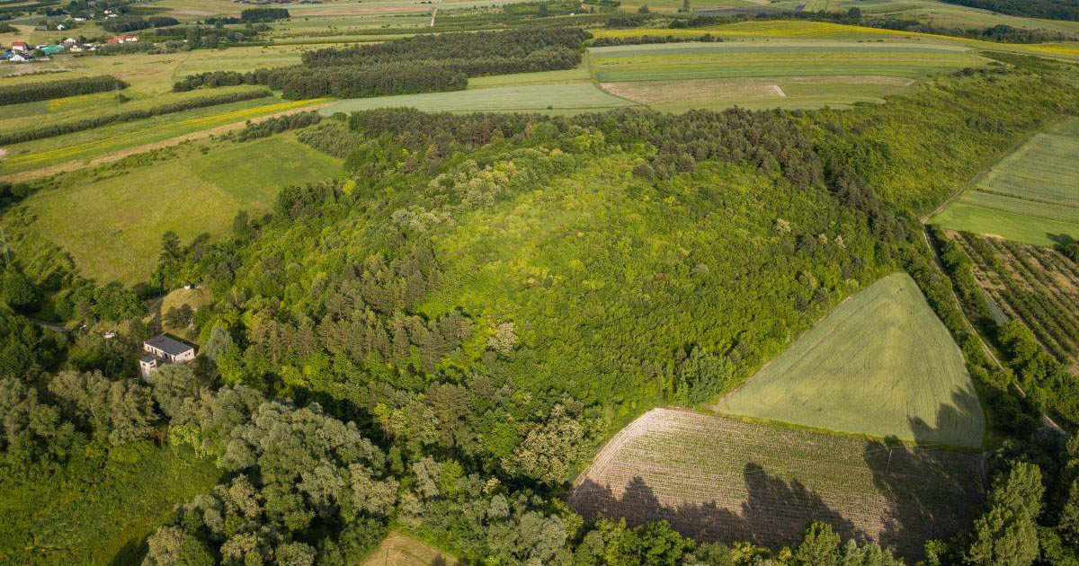 gród na "Kapturowej Górze" w Szczaworyżu