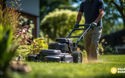Wiosenne porządki na podwórku – zakup czy wynajem, co bardziej się opłaca?