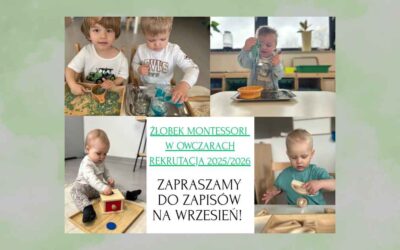 Niepubliczny Żłobek Montessori z Owczar rozpoczął rekrutację!