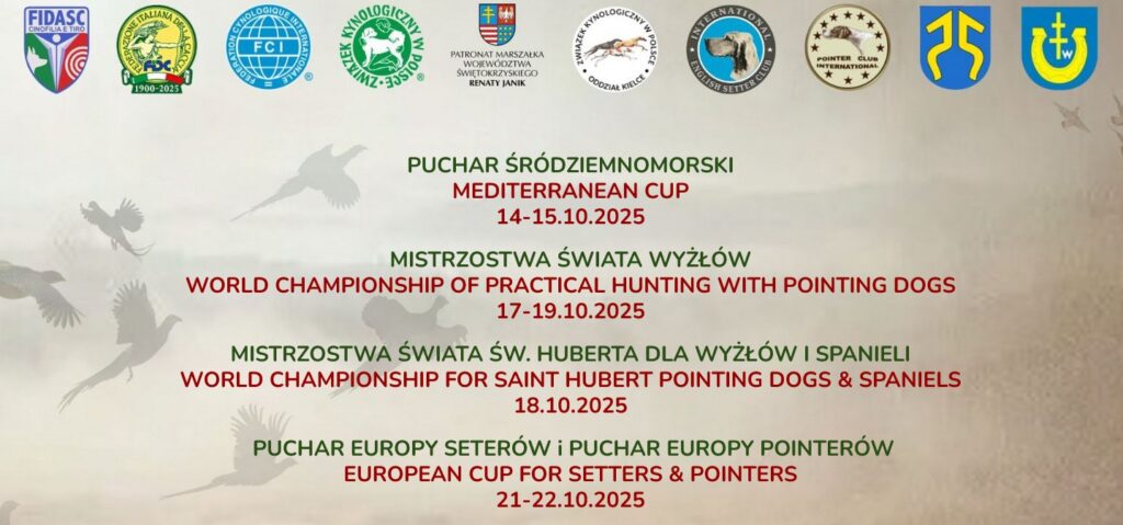 499490079 690581040391346 2340044609831972006 n