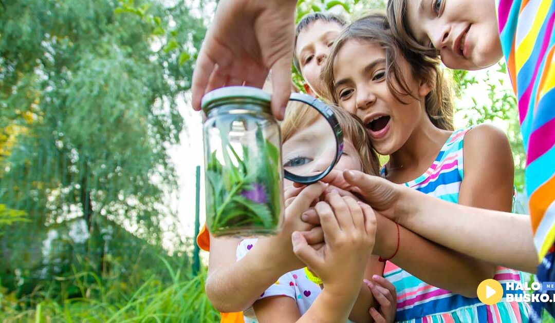 Wakacyjna przygoda z językiem i nauką – Language Land zaprasza dzieci na letnie warsztaty!