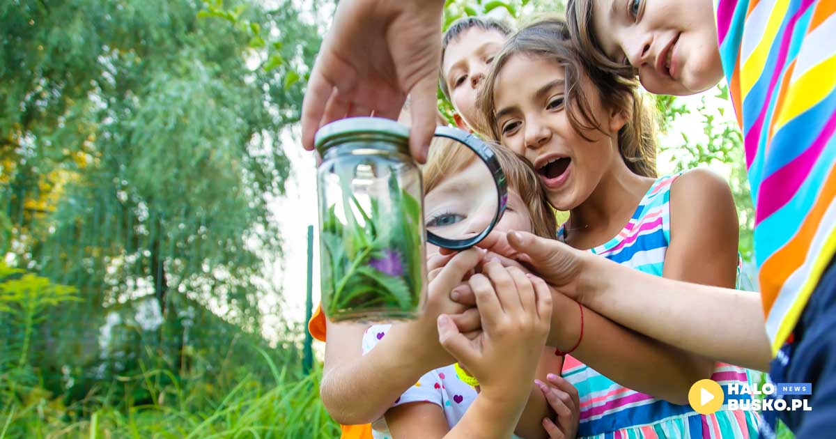 wakacje z language land busko-zdrój