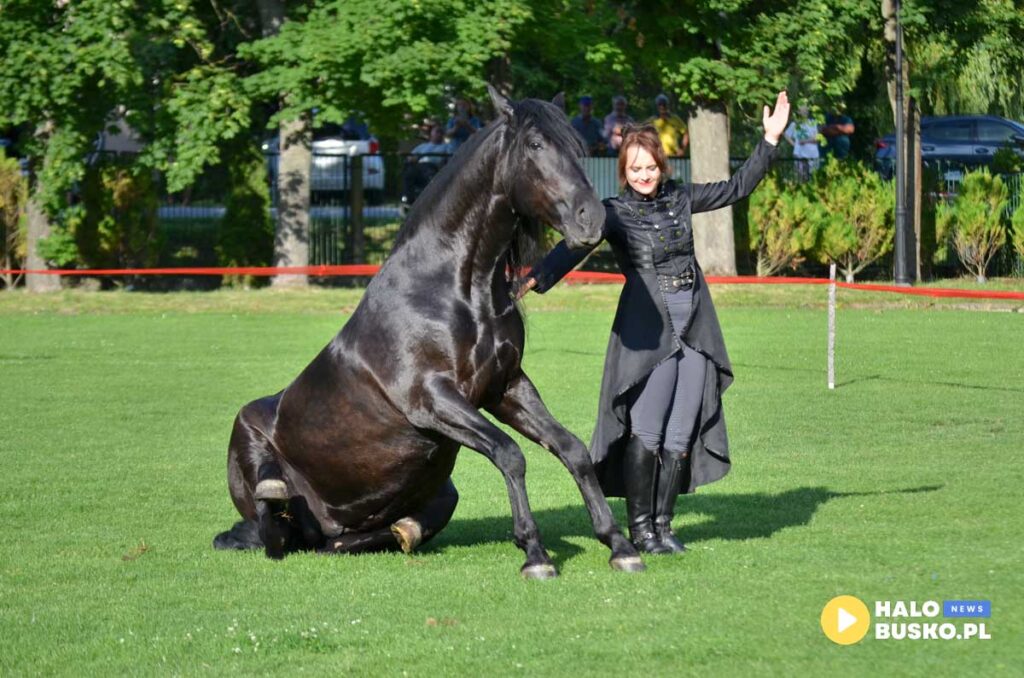 III Nadnidzianska Parada Karet i Zaprzegow Konnych w Krzyzanowicach Dolnych 07