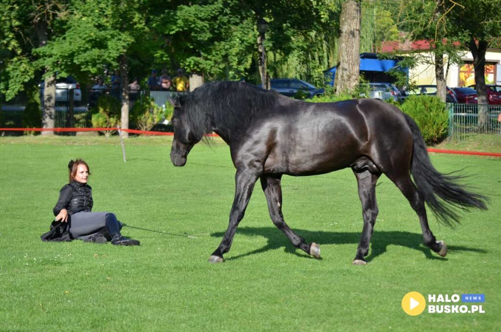 III Nadnidzianska Parada Karet i Zaprzegow Konnych w Krzyzanowicach Dolnych 08