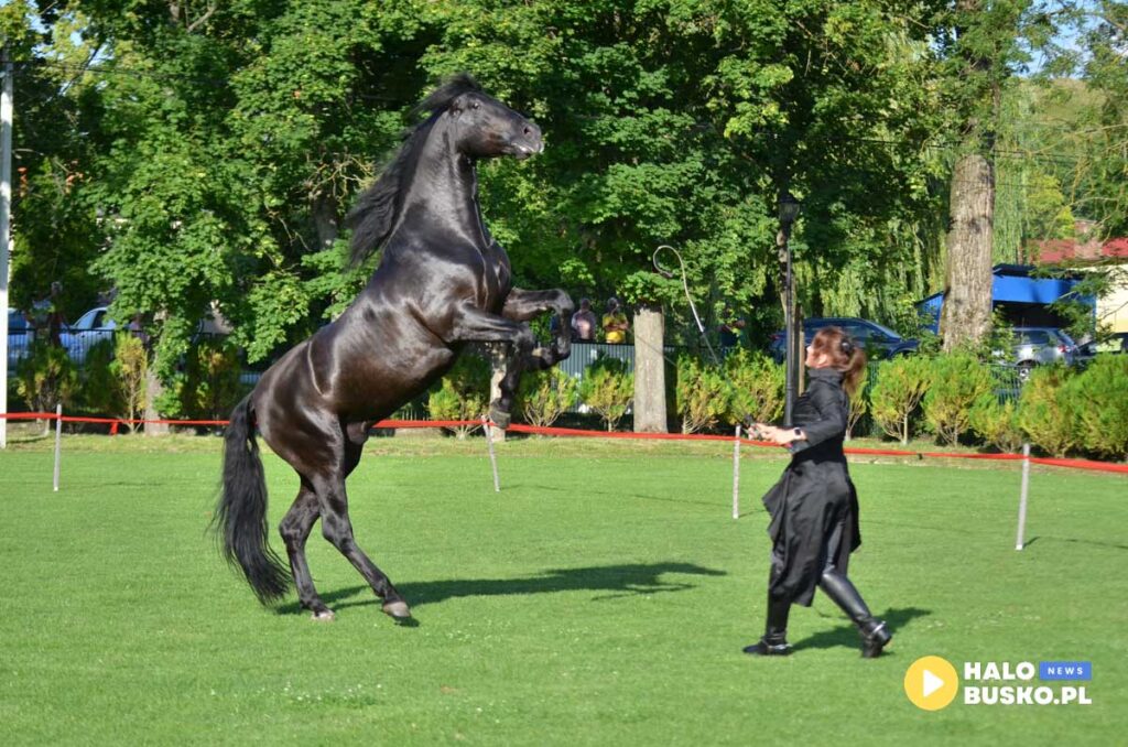 III Nadnidzianska Parada Karet i Zaprzegow Konnych w Krzyzanowicach Dolnych 09