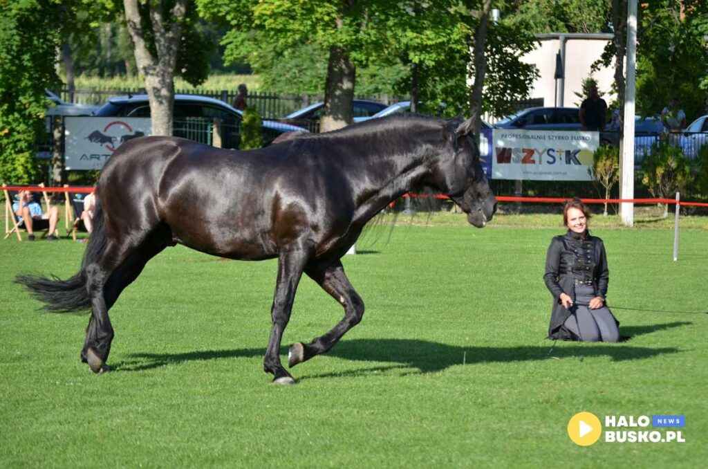 III Nadnidzianska Parada Karet i Zaprzegow Konnych w Krzyzanowicach Dolnych 10