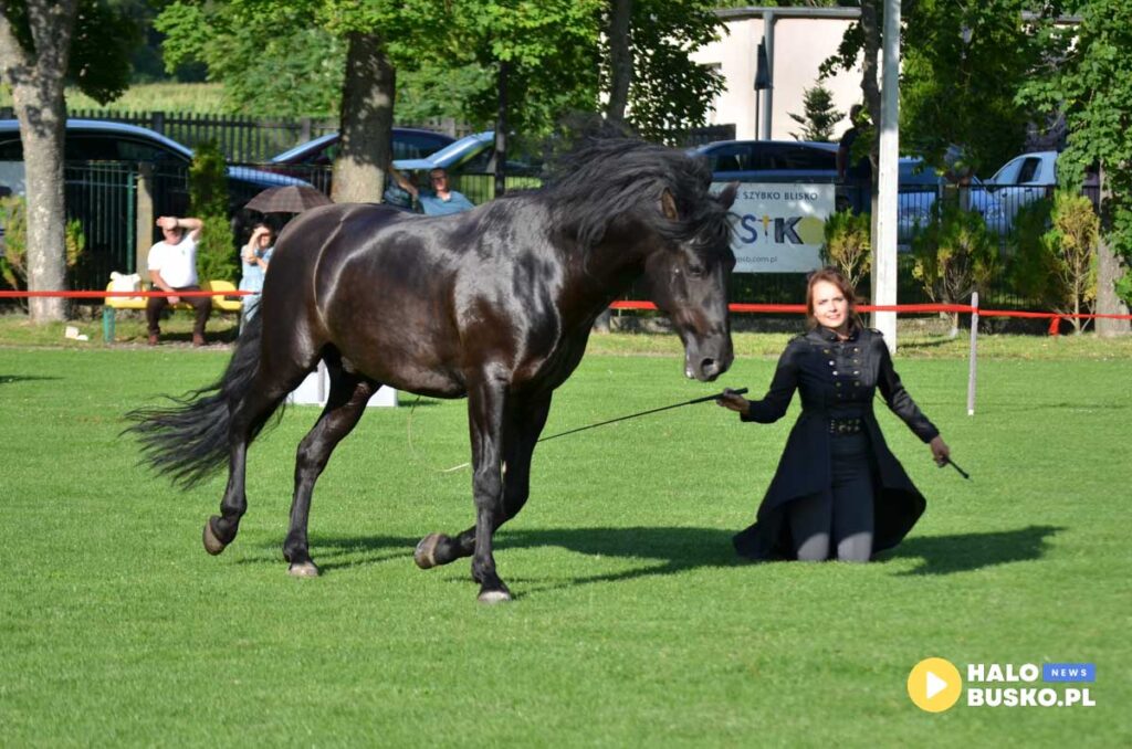 III Nadnidzianska Parada Karet i Zaprzegow Konnych w Krzyzanowicach Dolnych 11