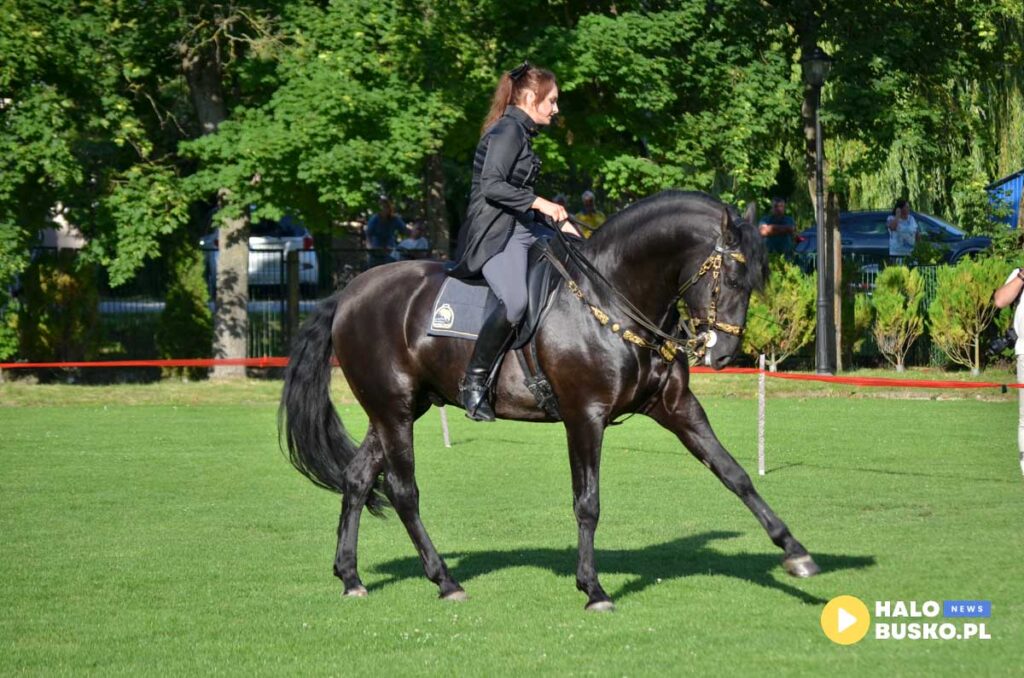 III Nadnidzianska Parada Karet i Zaprzegow Konnych w Krzyzanowicach Dolnych 12