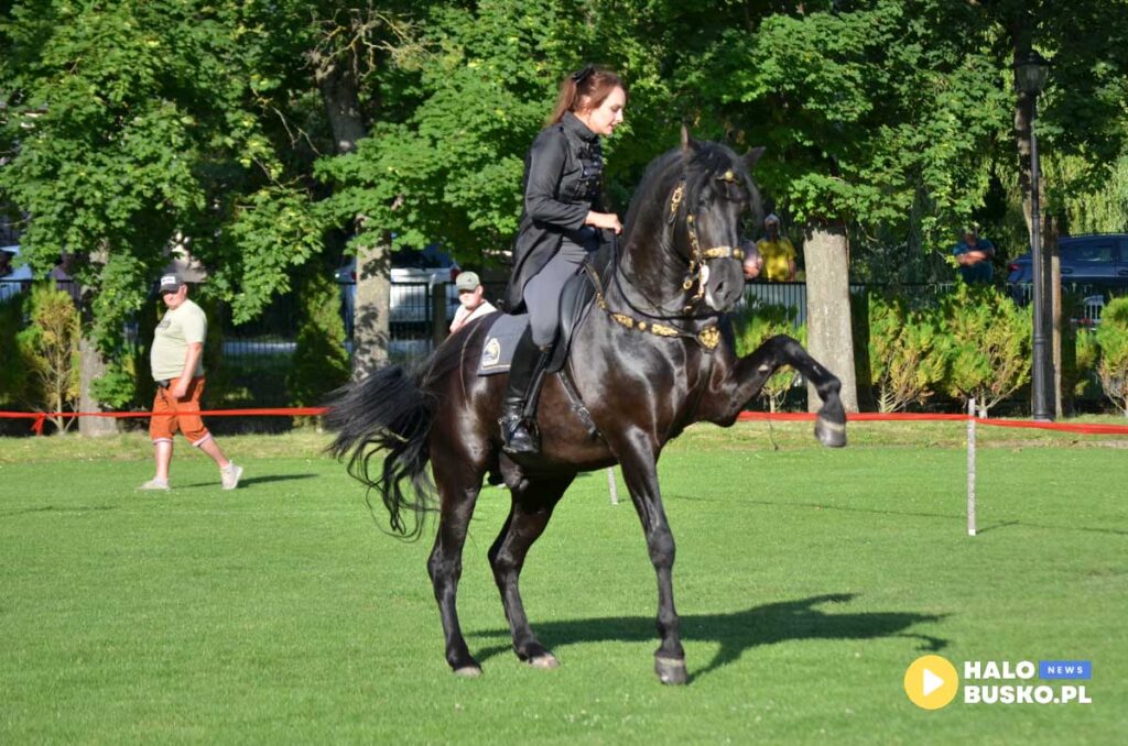 III Nadnidzianska Parada Karet i Zaprzegow Konnych w Krzyzanowicach Dolnych 13