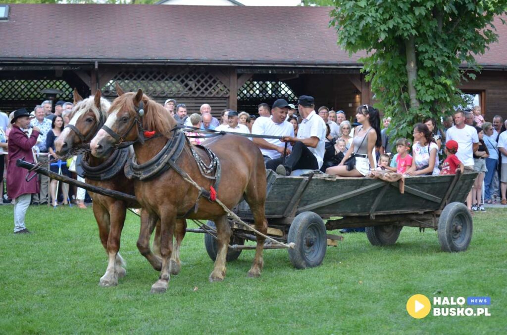 III Nadnidzianska Parada Karet i Zaprzegow Konnych w Krzyzanowicach Dolnych 25