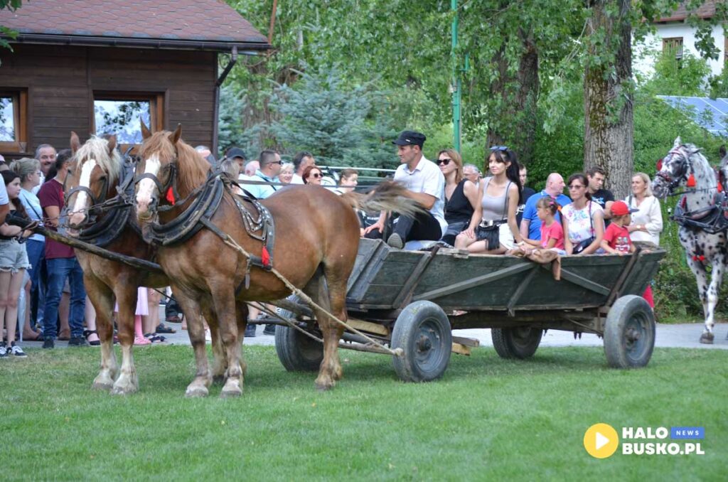 III Nadnidzianska Parada Karet i Zaprzegow Konnych w Krzyzanowicach Dolnych 26