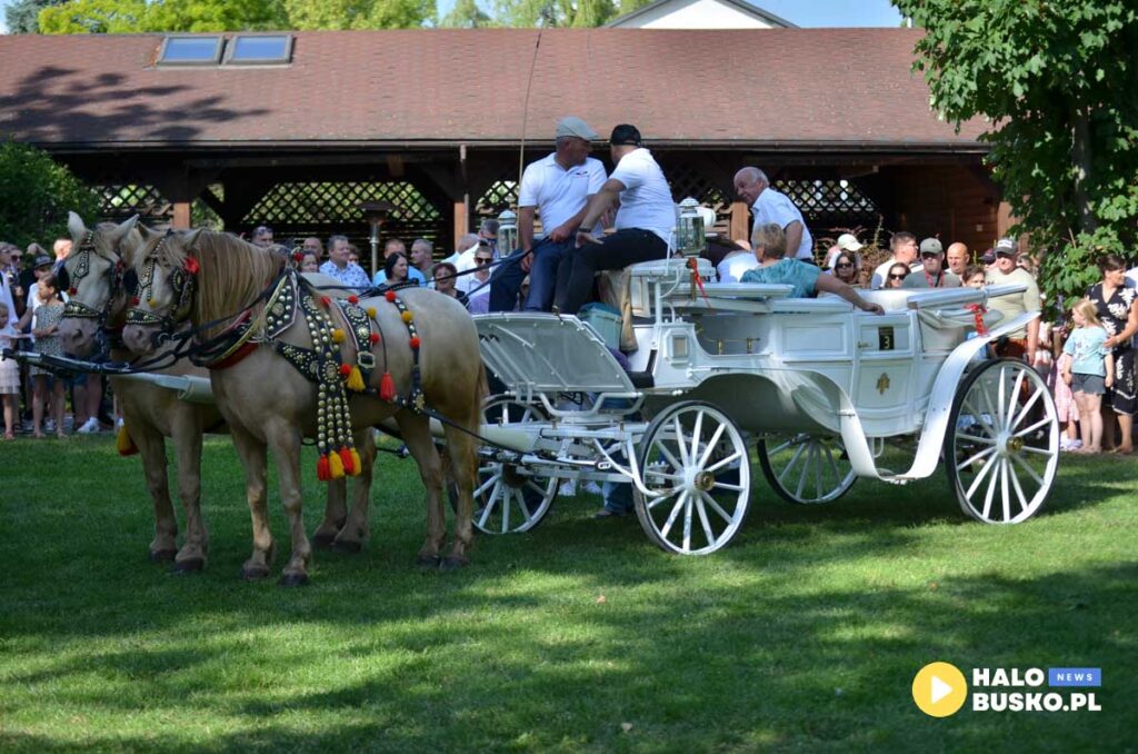III Nadnidzianska Parada Karet i Zaprzegow Konnych w Krzyzanowicach Dolnych 29