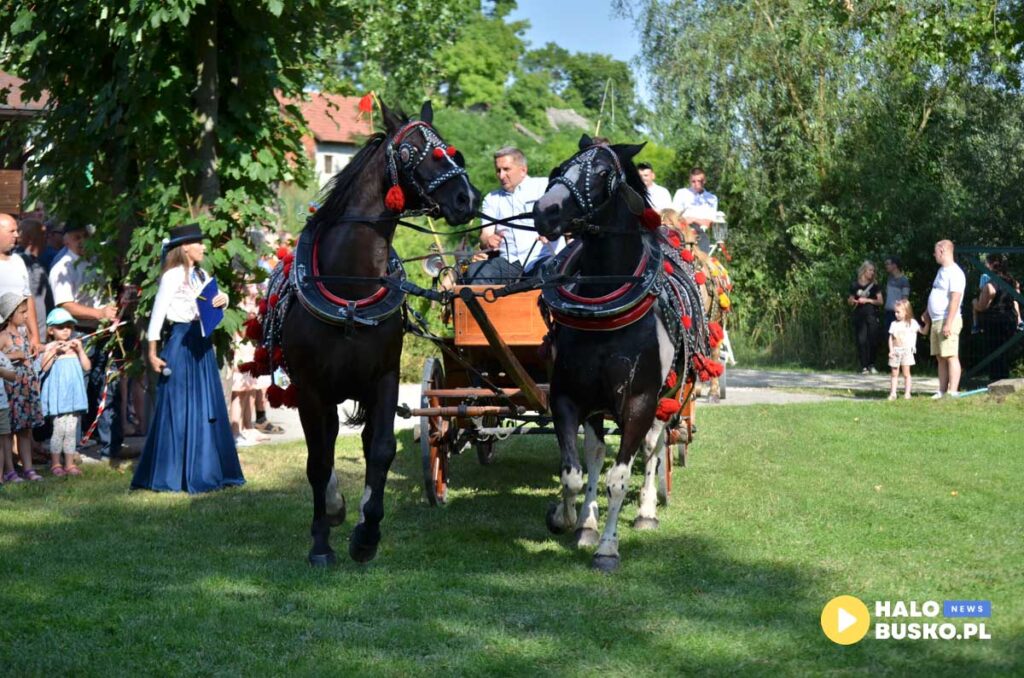 III Nadnidzianska Parada Karet i Zaprzegow Konnych w Krzyzanowicach Dolnych 32