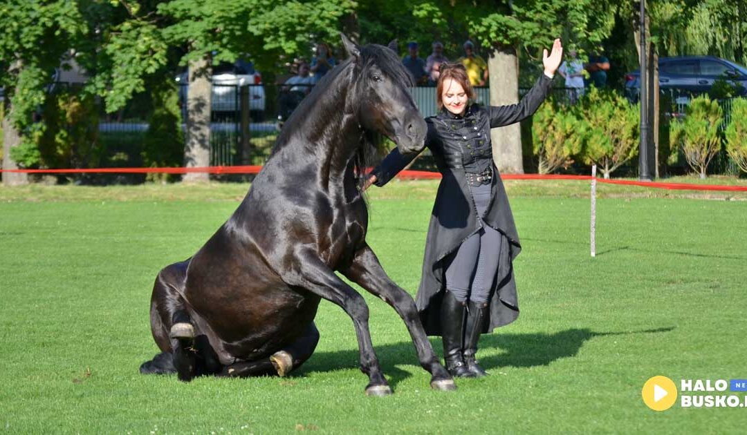 Tłumy w Krzyżanowicach Dolnych! III Nadnidziańska Parada Karet i Zaprzęgów Konnych imprezą dla całych rodzin! (ZDJĘCIA)
