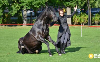 Tłumy w Krzyżanowicach Dolnych! III Nadnidziańska Parada Karet i Zaprzęgów Konnych imprezą dla całych rodzin! (ZDJĘCIA)