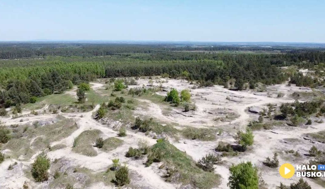 Amfiteatr w Szańcu? Szaniec staje się miejscem nowych koncepcji.