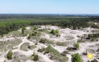 Amfiteatr w Szańcu? Szaniec staje się miejscem nowych koncepcji.