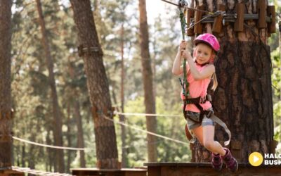 Park linowy „Małpi Gaj” ponownie otwarty!