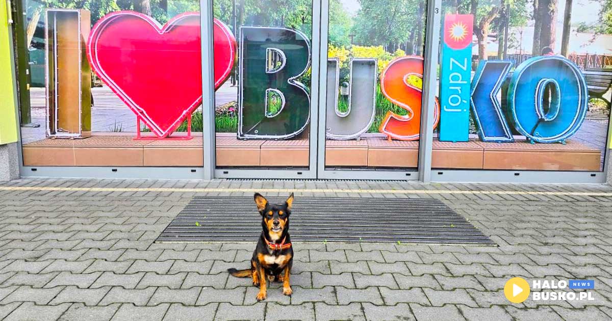 pomoc dla grzegorza - darek i pindel