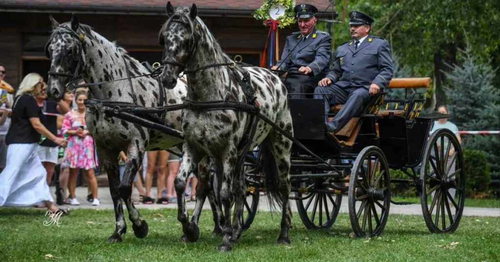 III Nadnidziańska Parada Karet i Zaprzęgów Konnych w Krzyżanowicach Dolnych