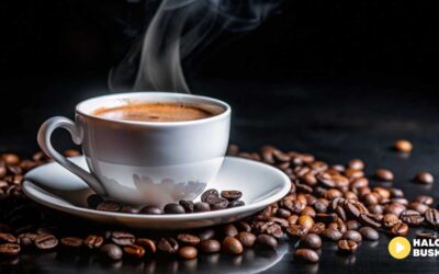 Gratka dla miłośników kawy w Dom na Błysk w Busku-Zdroju – druga paczka -50%!