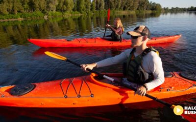 Kajaki na długi weekend sierpniowy? Przygoda z Zacisze Nad Nidą Resort!