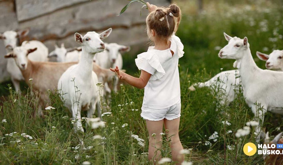 Weź udział w konkursie „Wszystkie Dzieci Świata”: 19. edycji międzynarodowego konkursu fotograficznego w Pacanowie!