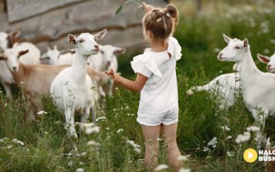 Weź udział w konkursie „Wszystkie Dzieci Świata”: 19. edycji międzynarodowego konkursu fotograficznego w Pacanowie!