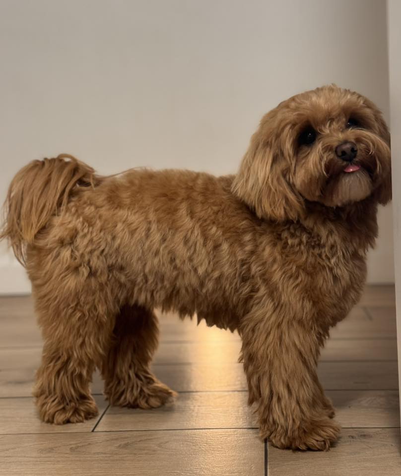 539590722 2546985209016282 6291289120583656101 n 1